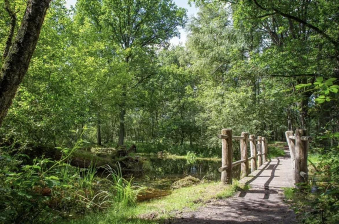 Villa 29, Natuurlijk Gelegen Nabij Efteling En Beekse Bergen, Airco & Prive Parkeren Inbegrepen! Oisterwijk Exterior foto